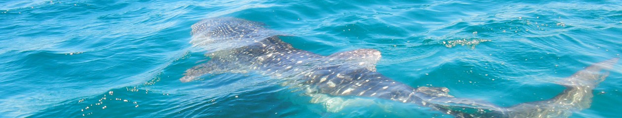 its the journey that matters