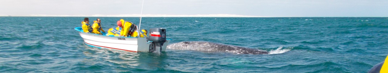 its the journey that matters