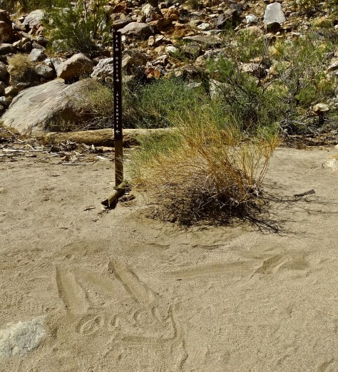 A sign left for me by my loving husband. Can you see it?