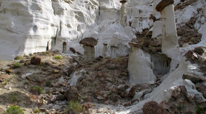 Will we win the lottery?!