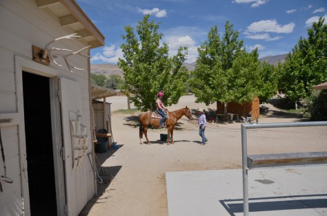 Linda giving me a few pointers before we head out into the arena.