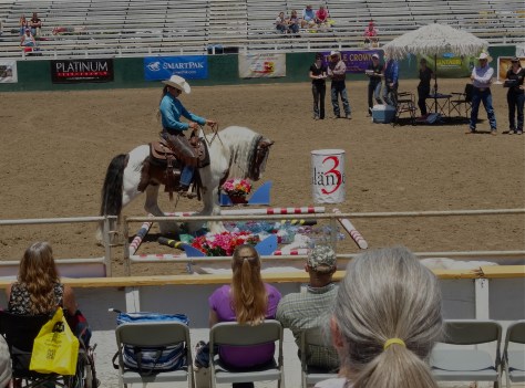 This Gypsy Vanner made it through the shiny / noisy junk obstacle just fine.