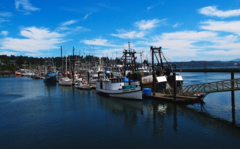 Farther along the coast was Newport, OR where we stopped for lunch and to stretch our legs a bit.