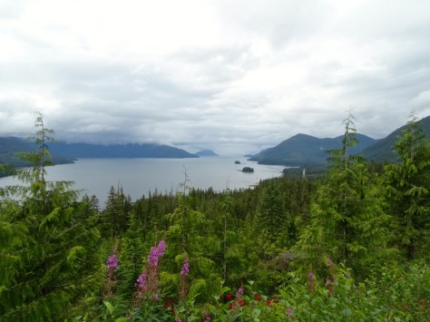 View from the Nemo campsites.