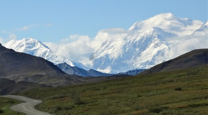 Our Denali Experience