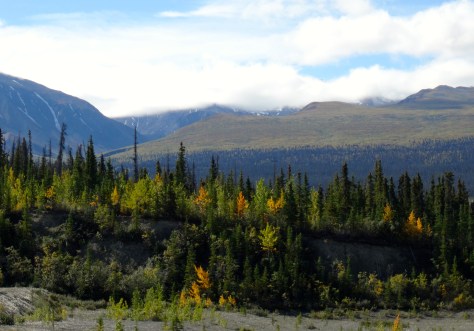 We were treated with a glimpse of the fall colors.